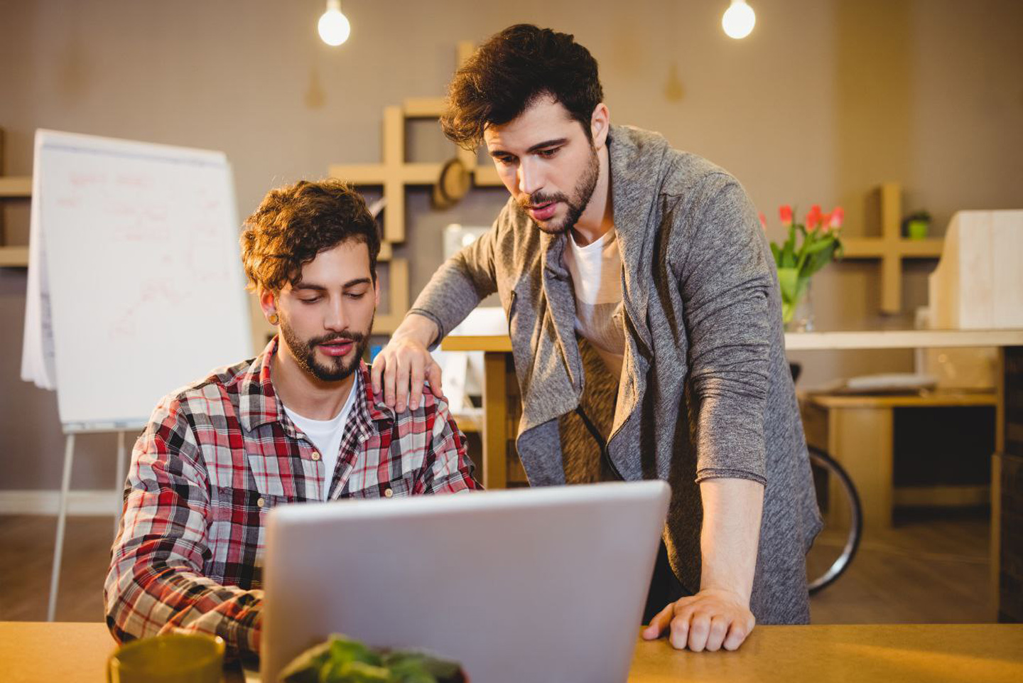 ApnaSoftware team India